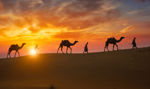 منهج السيرة